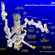 Illustration for article titled First Pictures of Completed Dextre Giant Space Robot